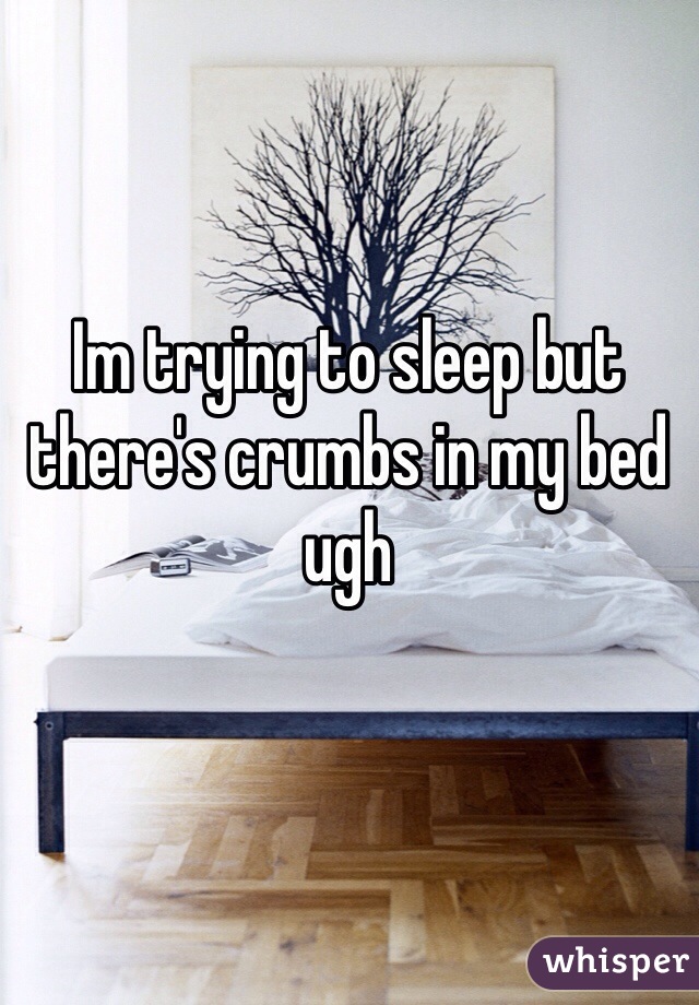 Im trying to sleep but there's crumbs in my bed ugh 