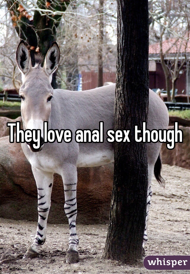 They love anal sex though 