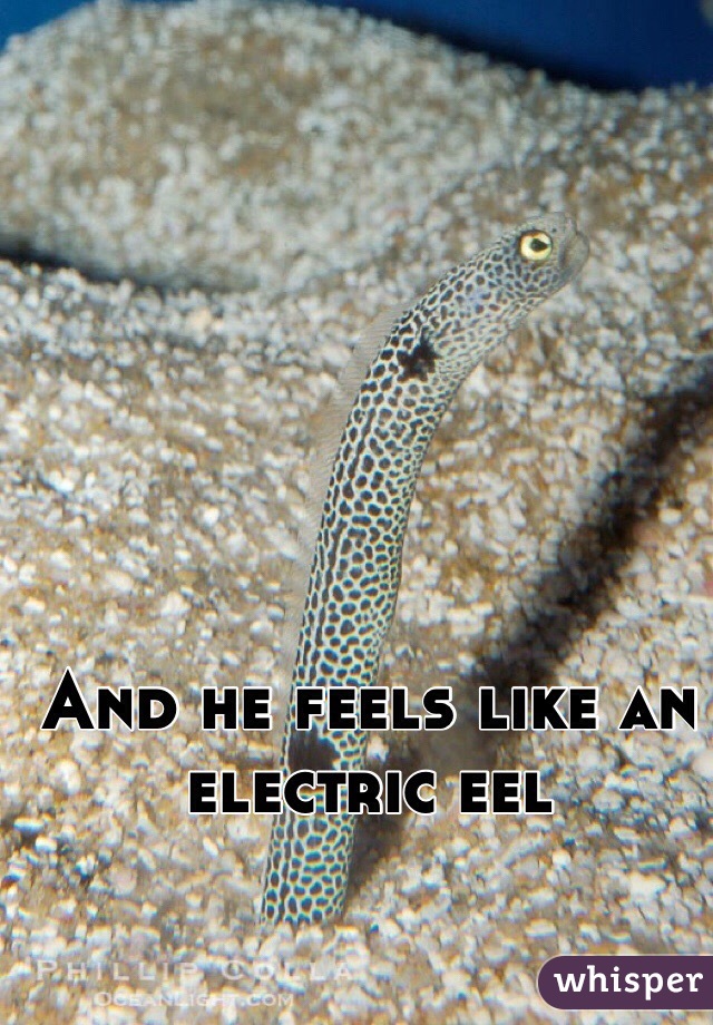 And he feels like an electric eel