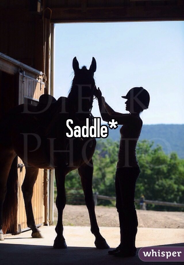 Saddle*