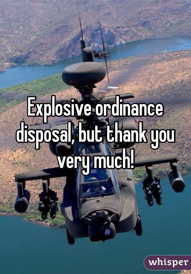 Explosive ordinance disposal, but thank you very much!