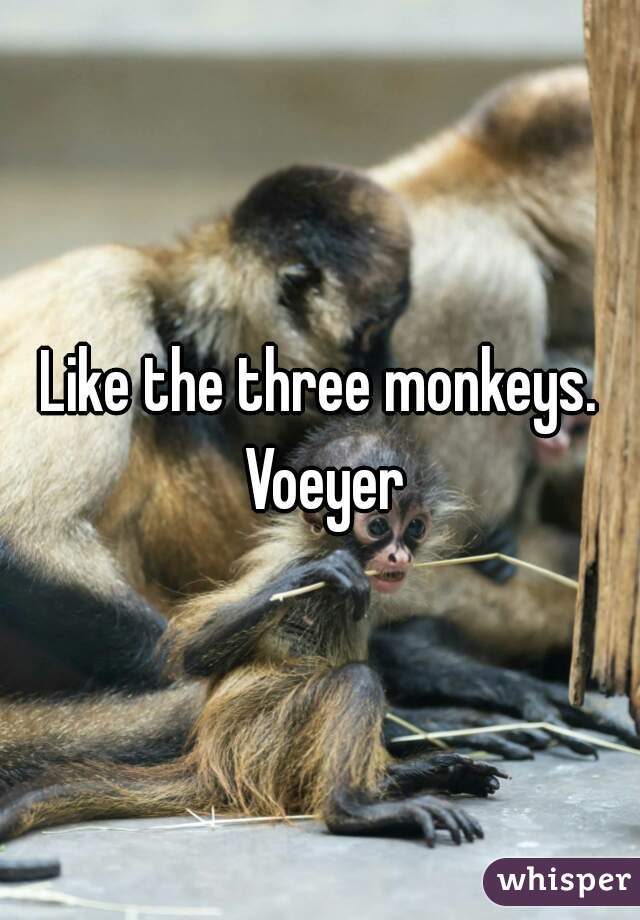 Like the three monkeys. Voeyer