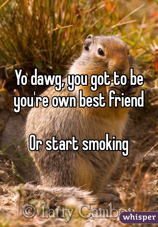 Yo dawg, you got to be you're own best friend

Or start smoking