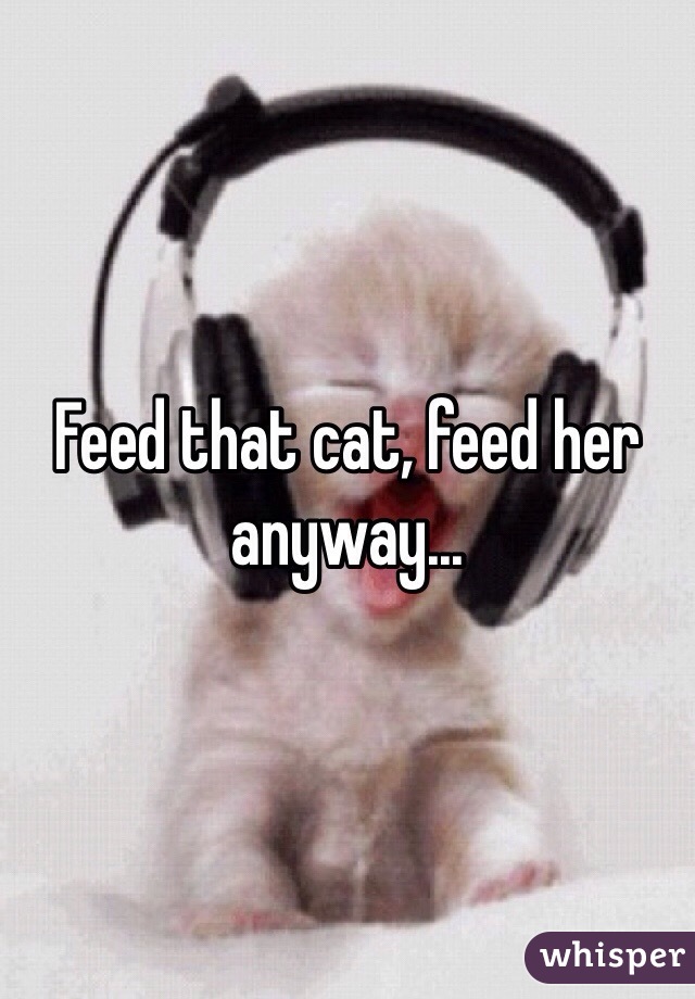 Feed that cat, feed her anyway...