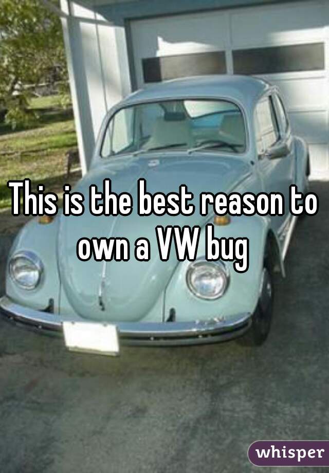 This is the best reason to own a VW bug 