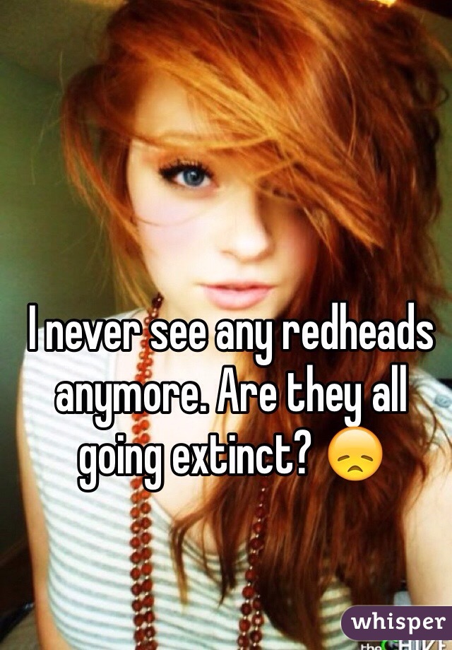 I never see any redheads anymore. Are they all going extinct? ðŸ˜ž