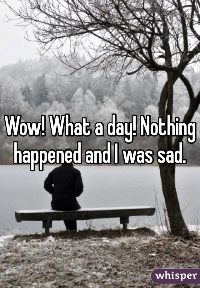 Wow! What a day! Nothing happened and I was sad.