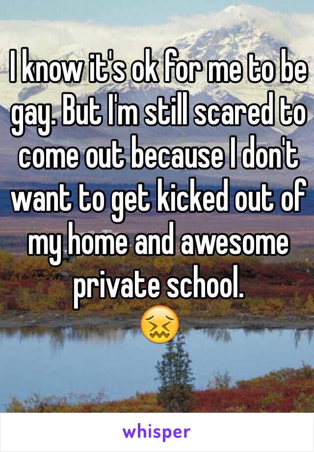 I know it's ok for me to be gay. But I'm still scared to come out because I don't want to get kicked out of my home and awesome private school. 
😖