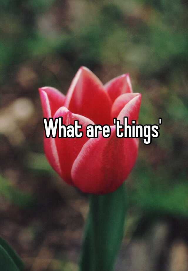 what-are-things