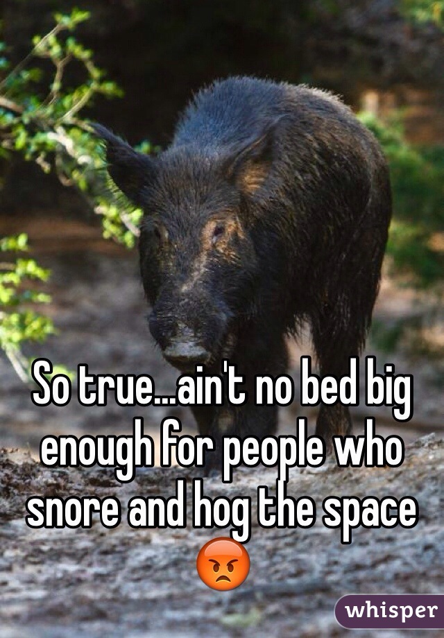So true...ain't no bed big enough for people who snore and hog the space 😡