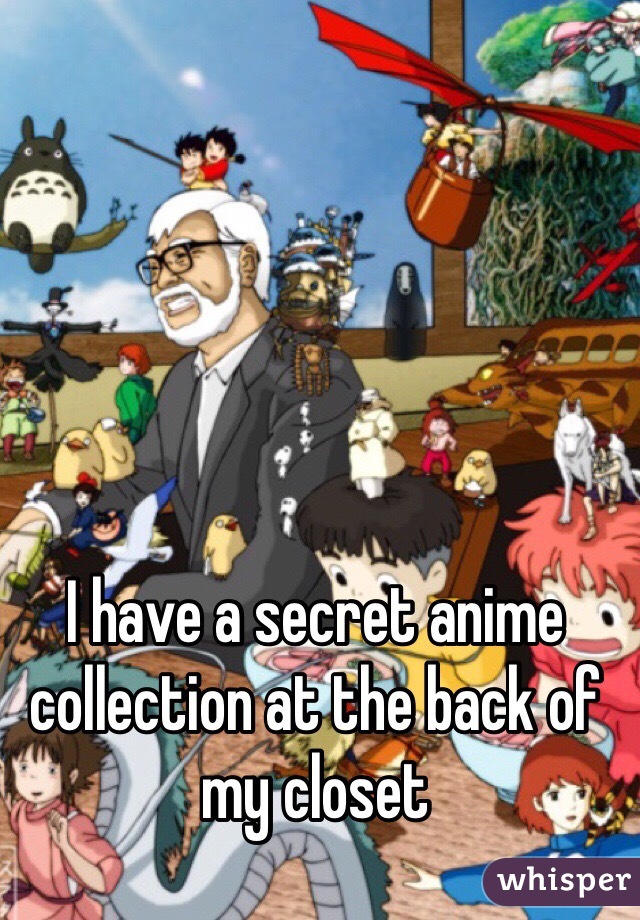 I have a secret anime collection at the back of my closet 
