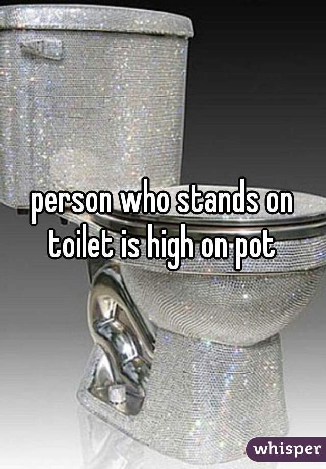 person who stands on toilet is high on pot 