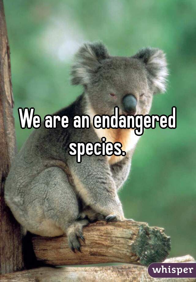 We are an endangered species. 