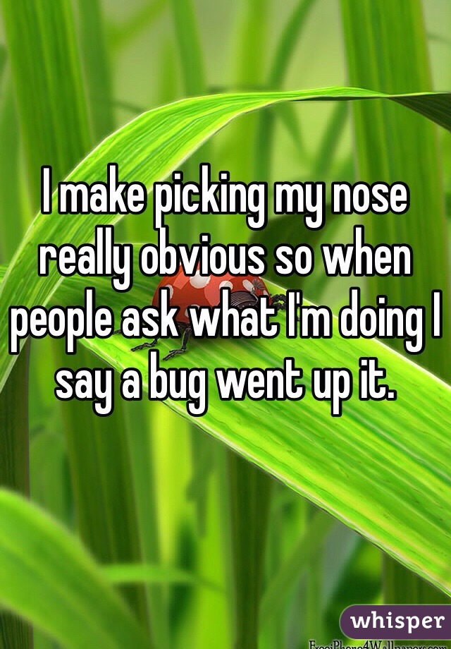 I make picking my nose really obvious so when people ask what I'm doing I say a bug went up it.
