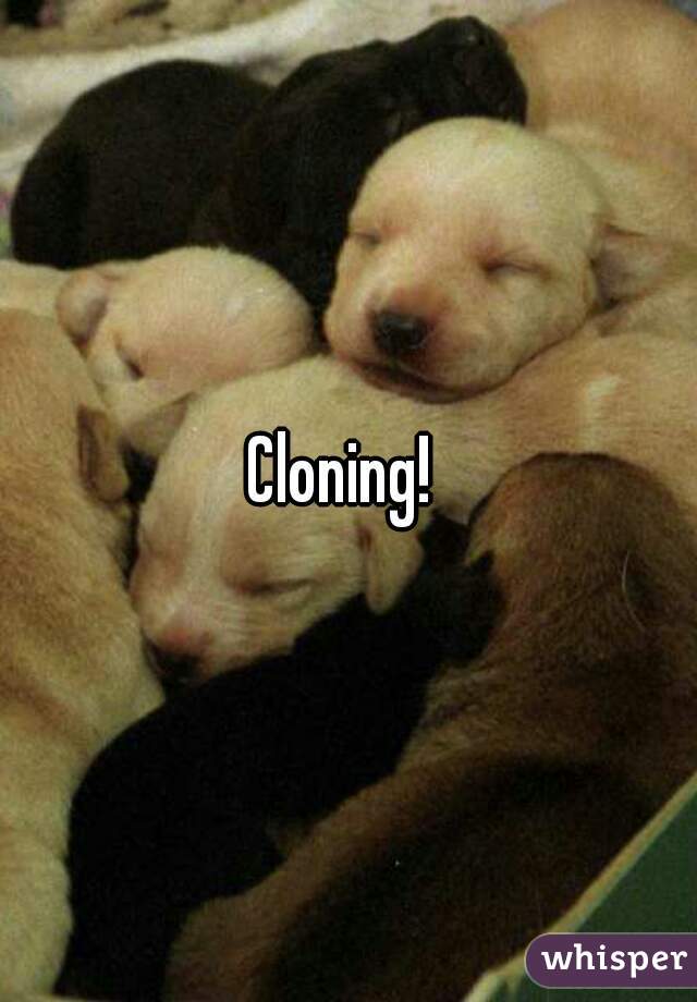 Cloning! 
