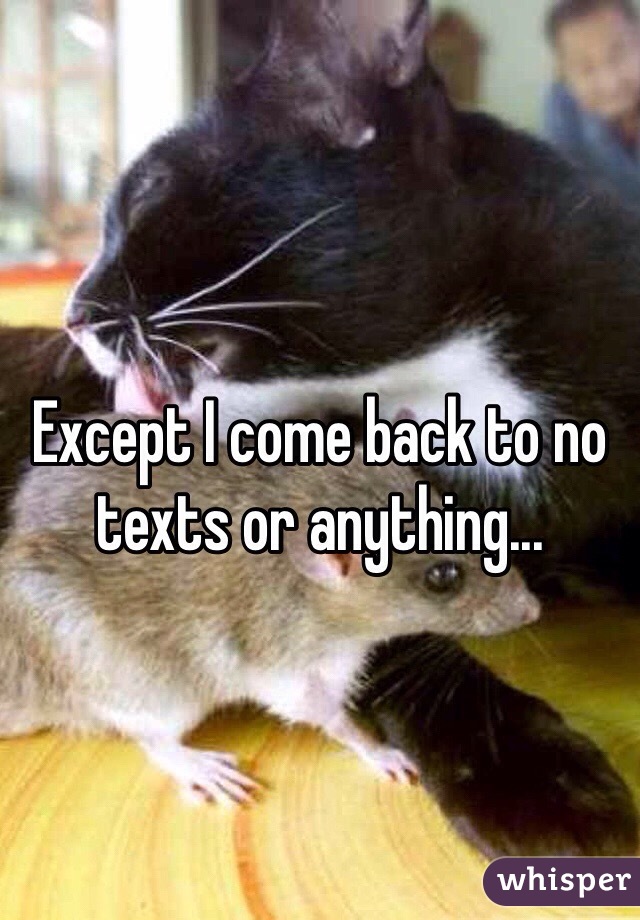 Except I come back to no texts or anything... 