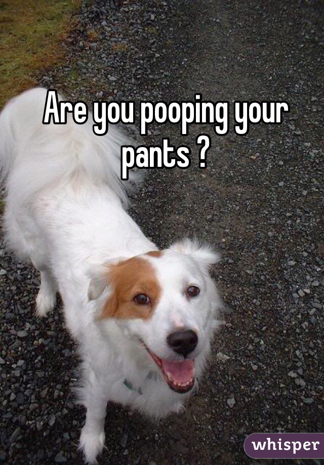 Are you pooping your pants ?