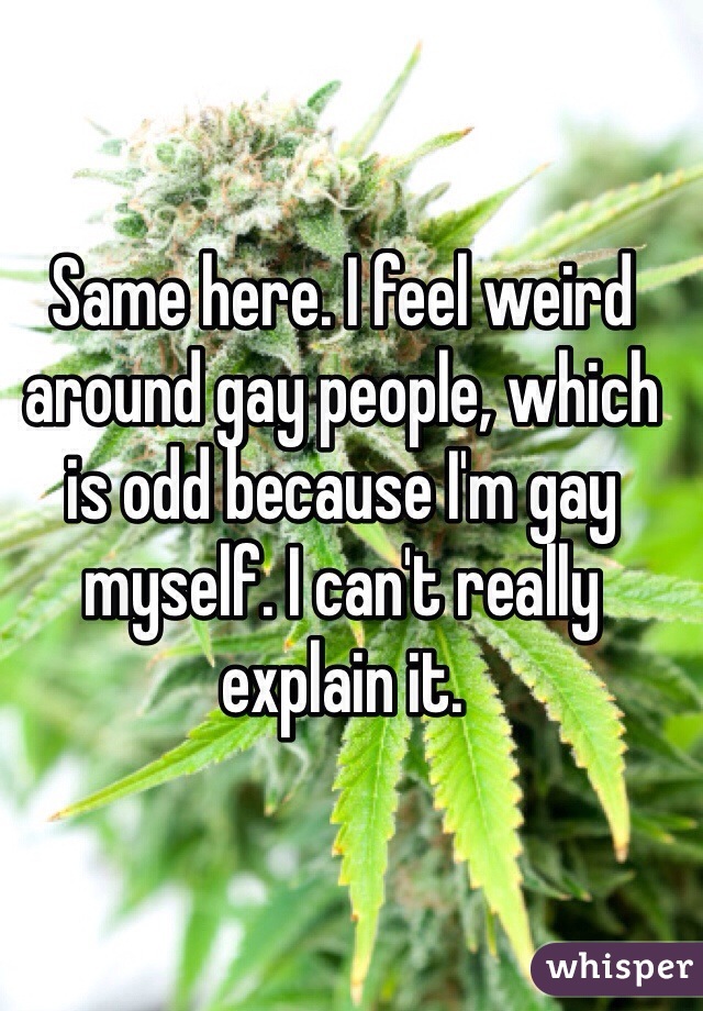 Same here. I feel weird around gay people, which is odd because I'm gay myself. I can't really explain it.