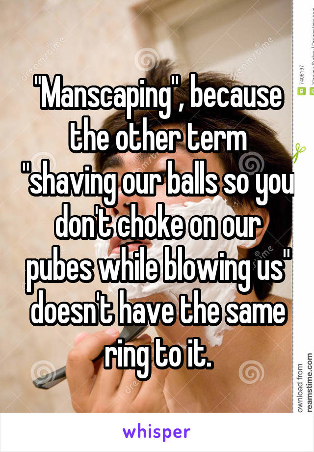 "Manscaping", because the other term "shaving our balls so you don't choke on our pubes while blowing us" doesn't have the same ring to it.