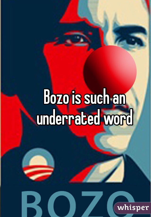 Bozo is such an underrated word