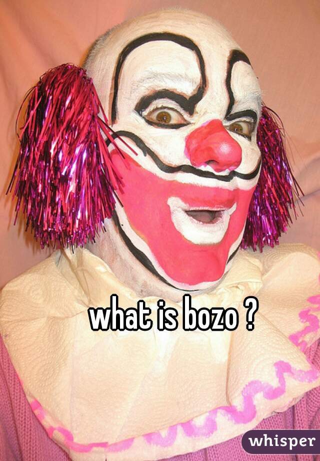 what is bozo ?