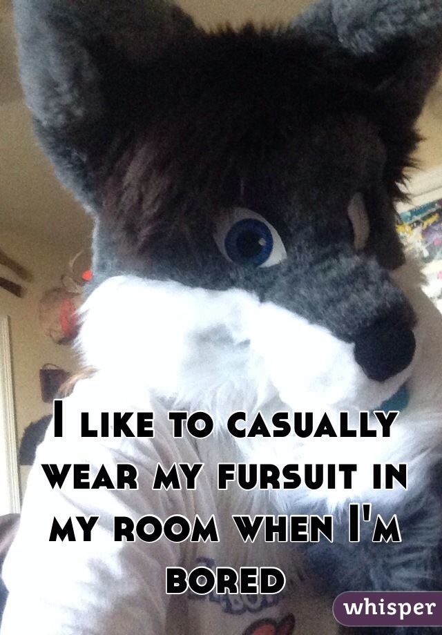 I like to casually wear my fursuit in my room when I'm bored 