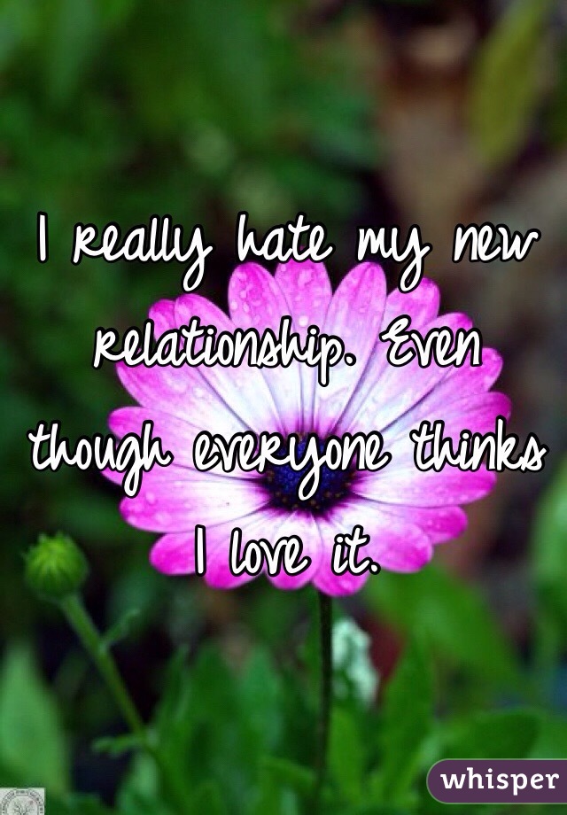 I really hate my new relationship. Even though everyone thinks I love it. 