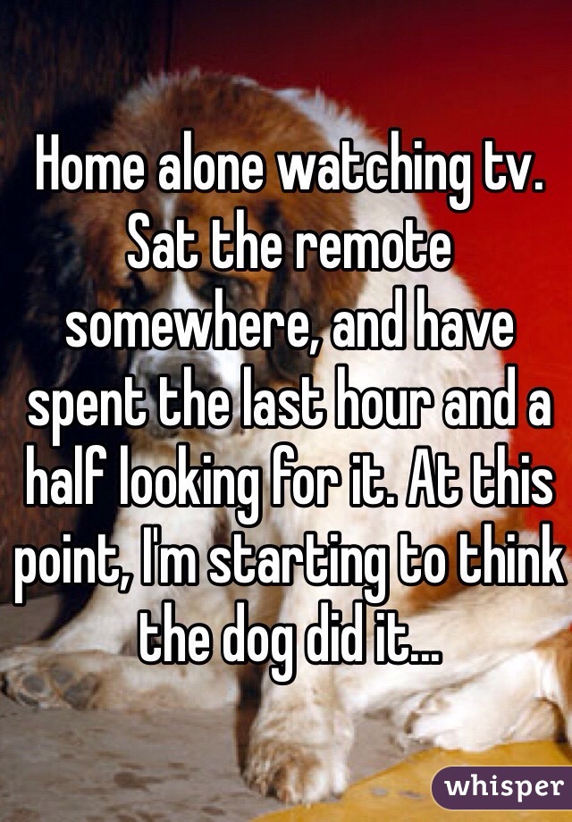 Home alone watching tv. Sat the remote somewhere, and have spent the last hour and a half looking for it. At this point, I'm starting to think the dog did it...