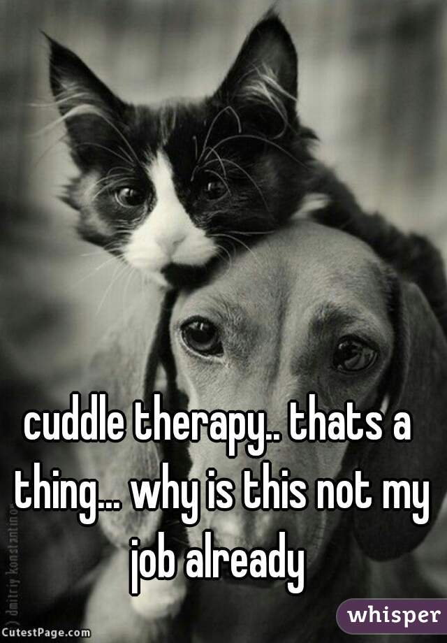 cuddle therapy.. thats a thing... why is this not my job already 