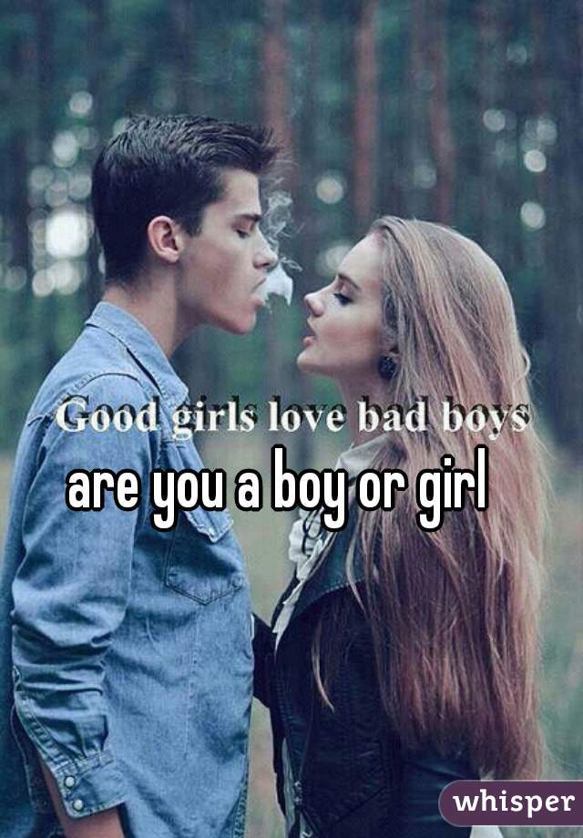 are-you-a-boy-or-girl