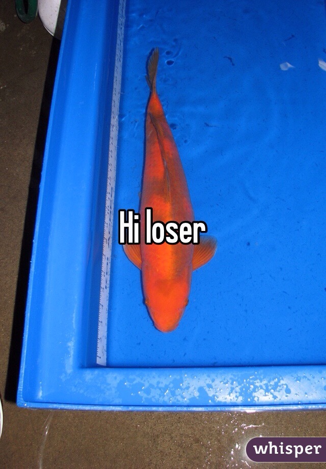 Hi loser 