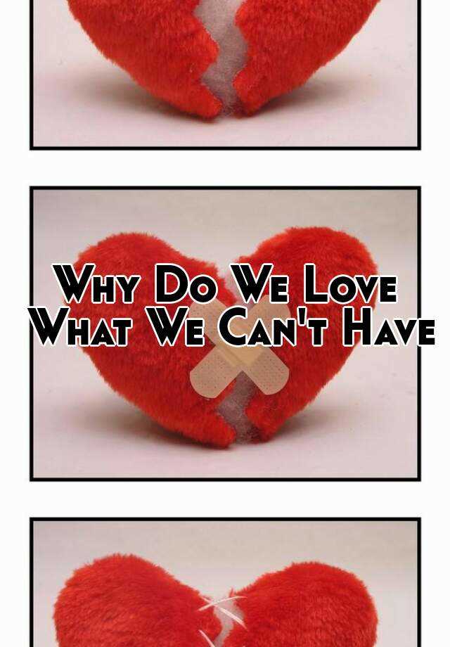 why-do-we-love-what-we-can-t-have