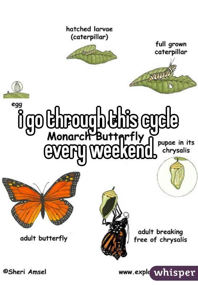 i go through this cycle every weekend.