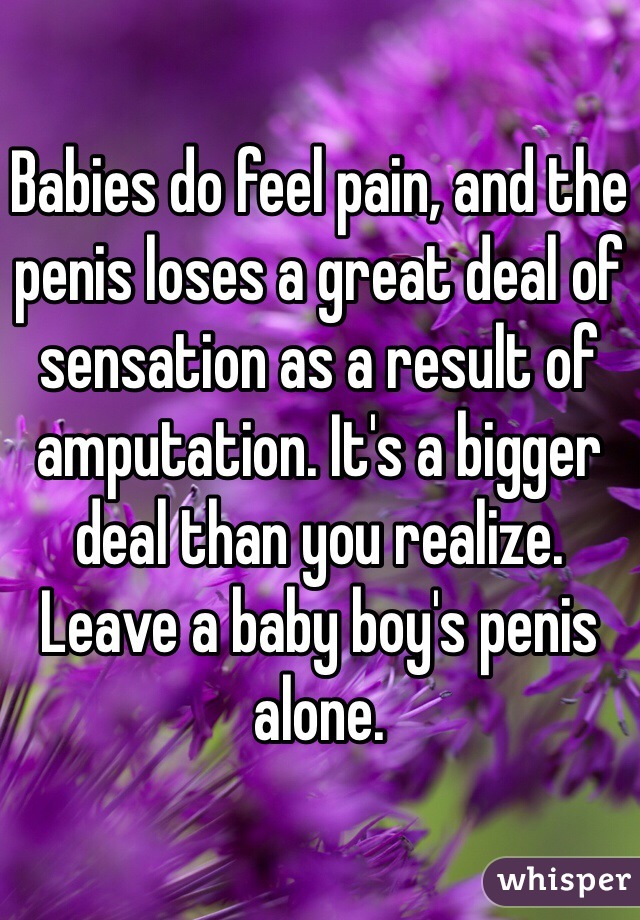 Babies do feel pain, and the penis loses a great deal of sensation as a result of amputation. It's a bigger deal than you realize. Leave a baby boy's penis alone.