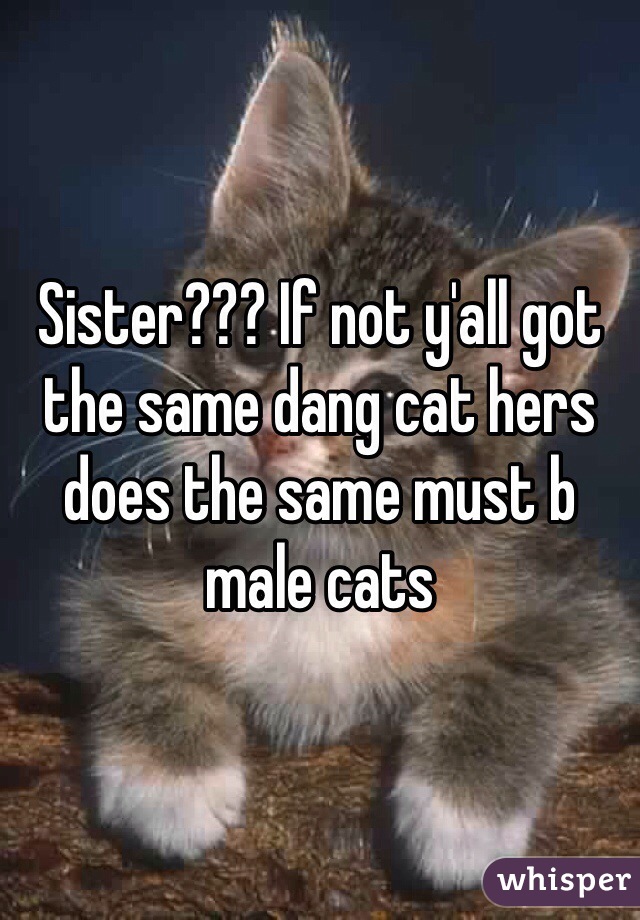 Sister??? If not y'all got the same dang cat hers does the same must b male cats