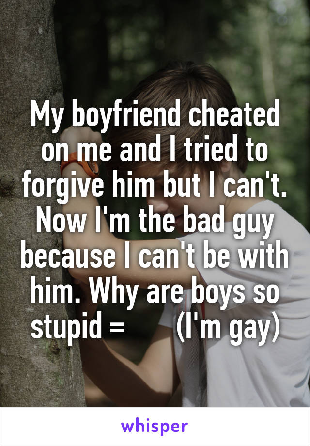 My boyfriend cheated on me and I tried to forgive him but I can't. Now I'm the bad guy because I can't be with him. Why are boys so stupid =\       (I'm gay)