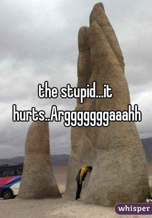 the stupid...it hurts..Argggggggaaahh