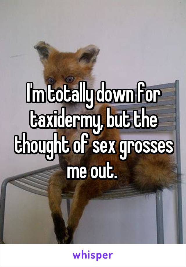 I'm totally down for taxidermy, but the thought of sex grosses me out. 
