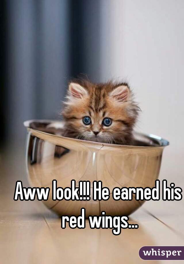 Aww look!!! He earned his red wings...