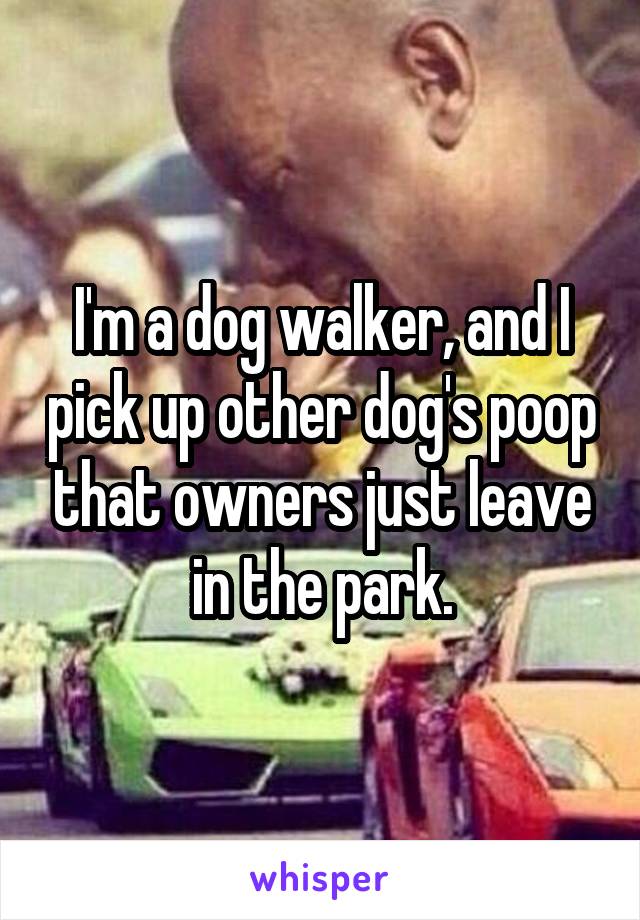 I'm a dog walker, and I pick up other dog's poop that owners just leave in the park.
