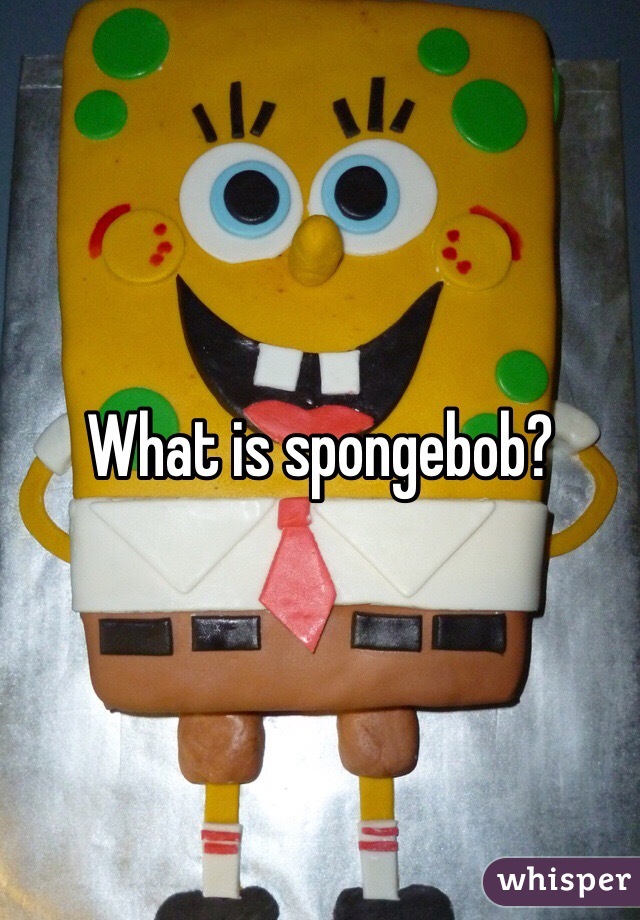 What is spongebob?