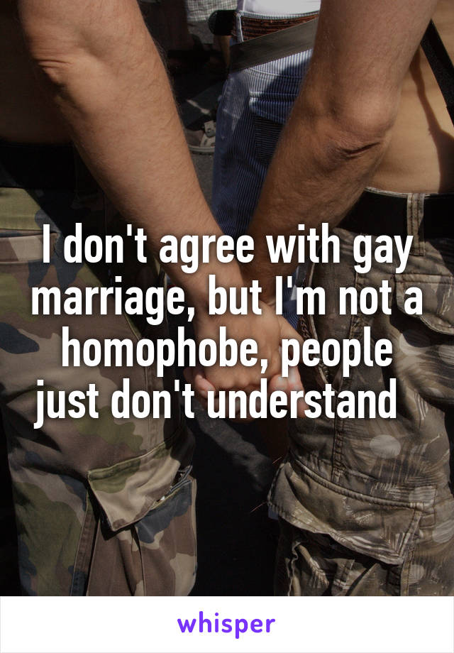 I don't agree with gay marriage, but I'm not a homophobe, people just don't understand  