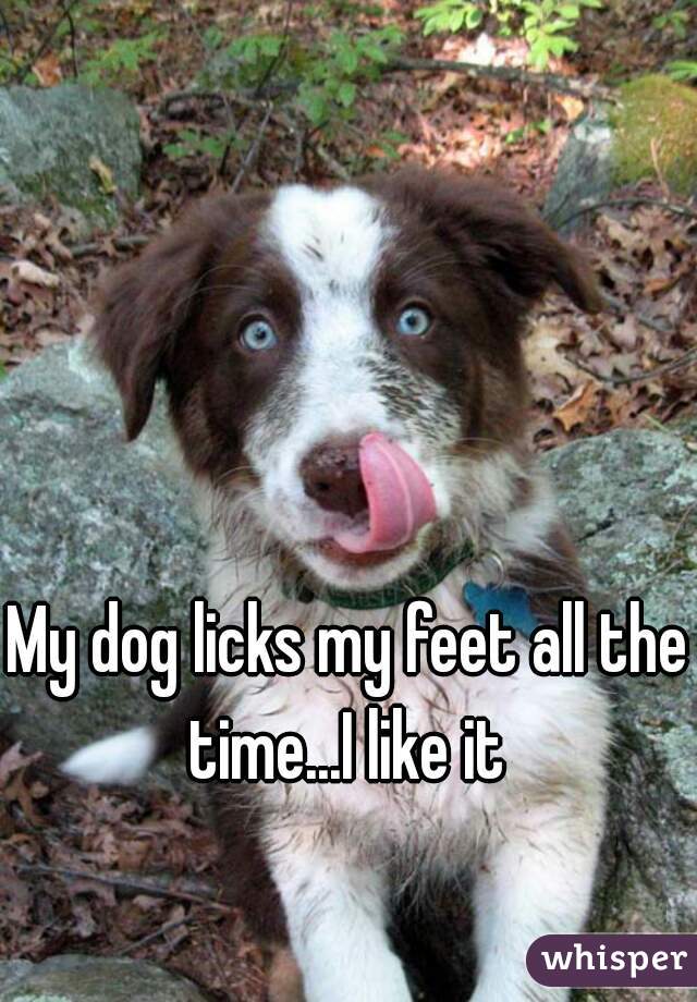 my-dog-licks-my-feet-all-the-time-i-like-it