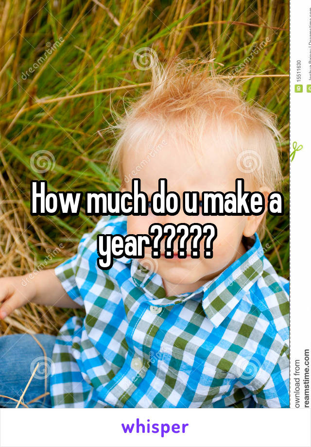 How much do u make a year?????