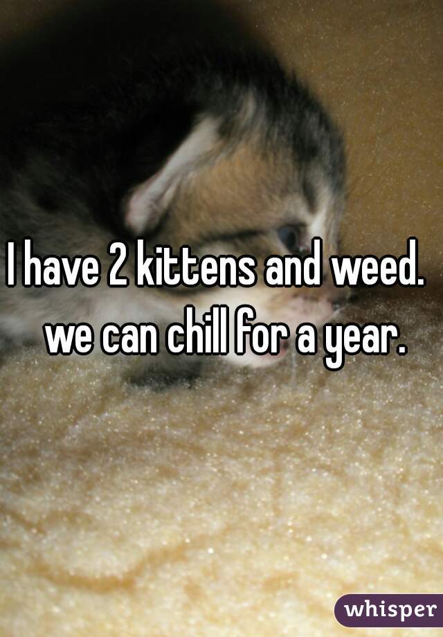 I have 2 kittens and weed.  we can chill for a year.