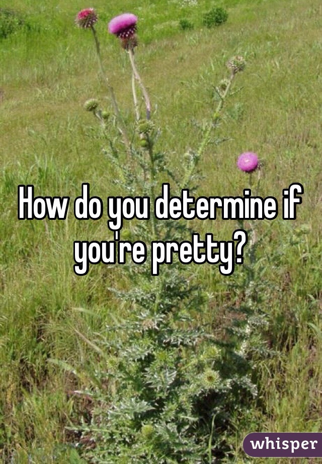 How do you determine if you're pretty? 