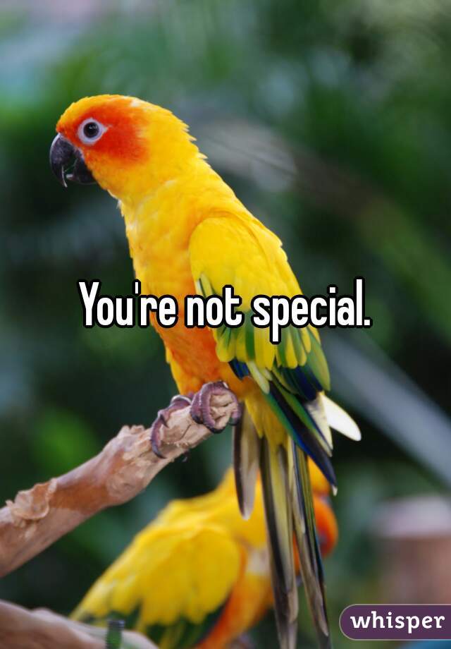 You're not special.