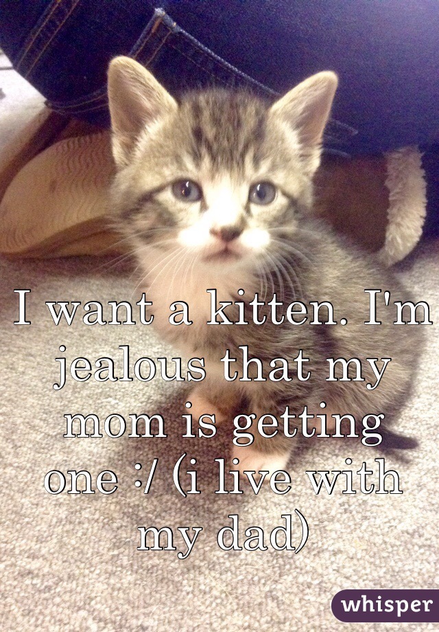 I want a kitten. I'm jealous that my mom is getting one :/ (i live with my dad)