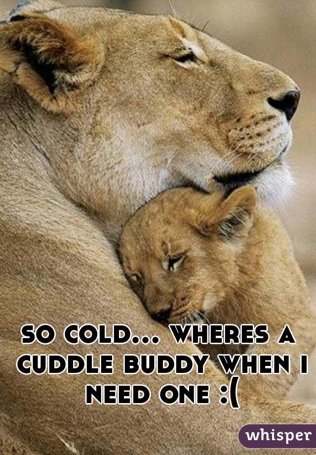 so cold... wheres a cuddle buddy when i need one :(