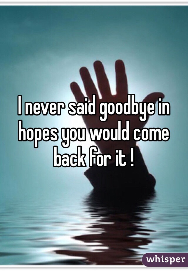 I never said goodbye in hopes you would come back for it !